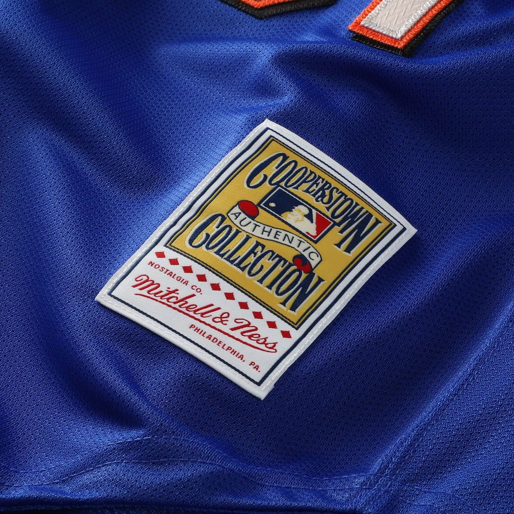 Mike Piazza New York Mets Mesh Batting Practice Button-Up Jersey - Royal