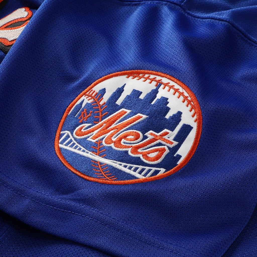Mike Piazza New York Mets Mesh Batting Practice Button-Up Jersey - Royal