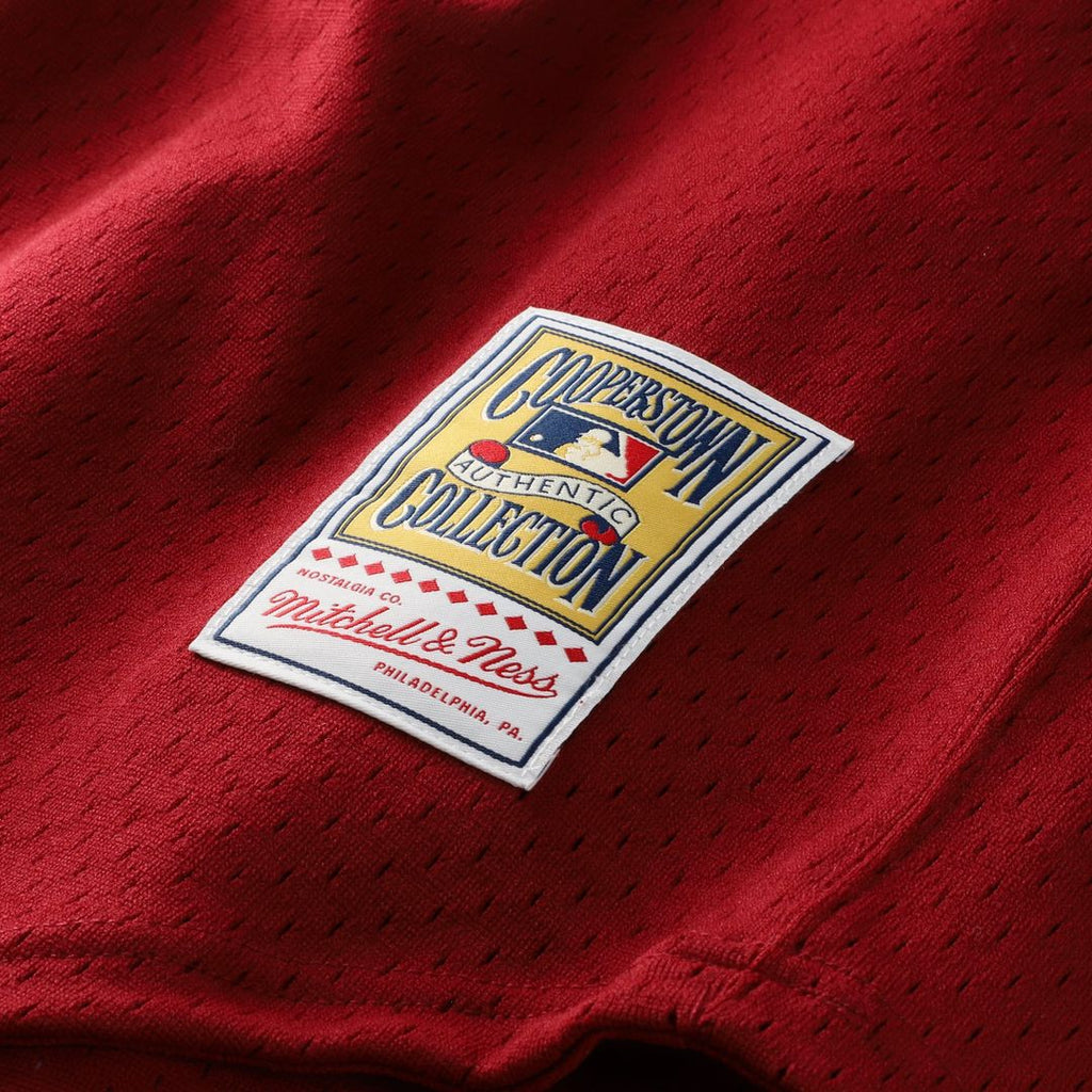 Darren Daulton Philadelphia Phillies Authentic Jersey - Scarlet