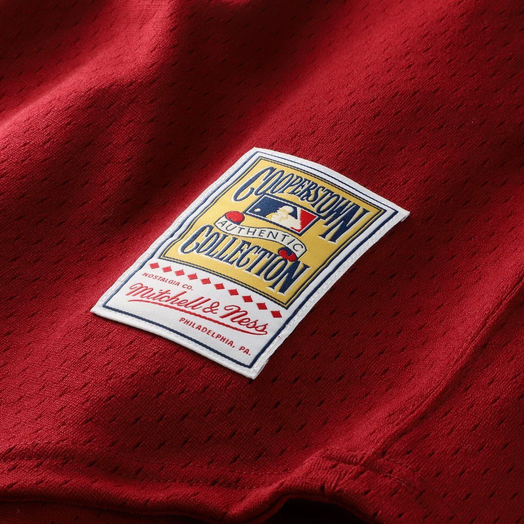 Darren Daulton Philadelphia Phillies Authentic Jersey - Scarlet