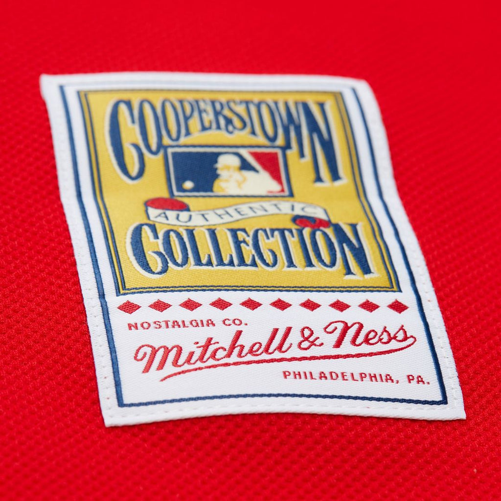 Ryan Howard Philadelphia Phillies Big & Tall Cooperstown Mesh Jersey - Red
