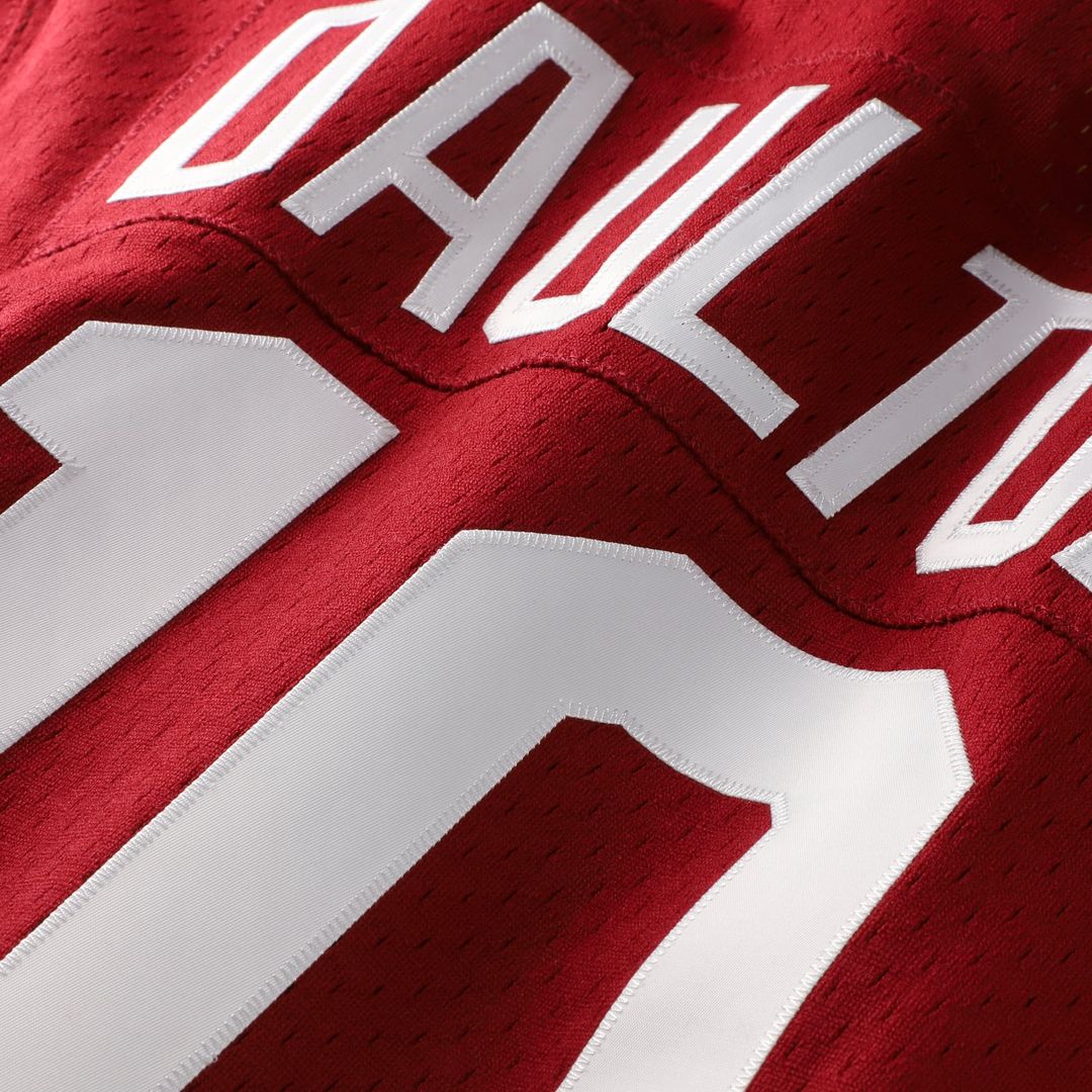 Darren Daulton Philadelphia Phillies Authentic Jersey - Scarlet